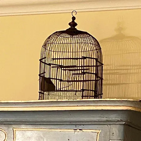 Poco Do Bispo 28 * טאווירה